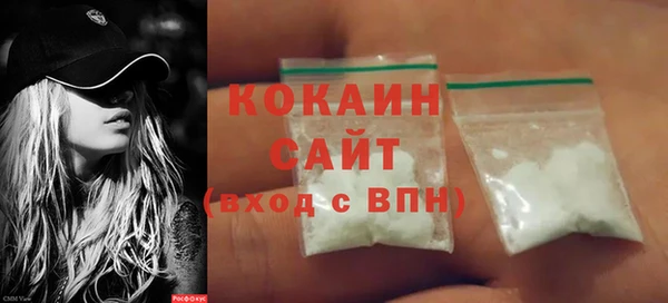 амф Верхний Тагил
