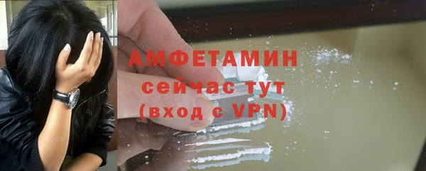 амф Верхний Тагил