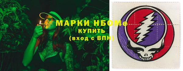 амф Верхний Тагил