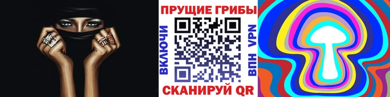 Псилоцибиновые грибы GOLDEN TEACHER Невельск